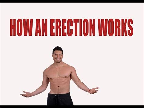 boner video|Anatomists Demonstrate How An Erection Works In Video